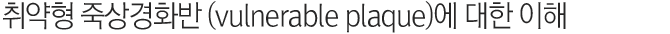 취약형 죽상경화반 (vulnerable plaque)에 대한 이해