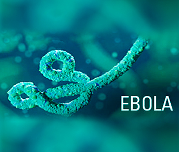 MSD 자이르형 에볼라 바이러스 백신 후보물질 (V920), 美FDA 혁신 치료제 지정 및 EMA 우선심사대상 선정