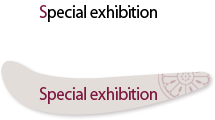 Special exhibition