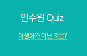 연수원 Quiz