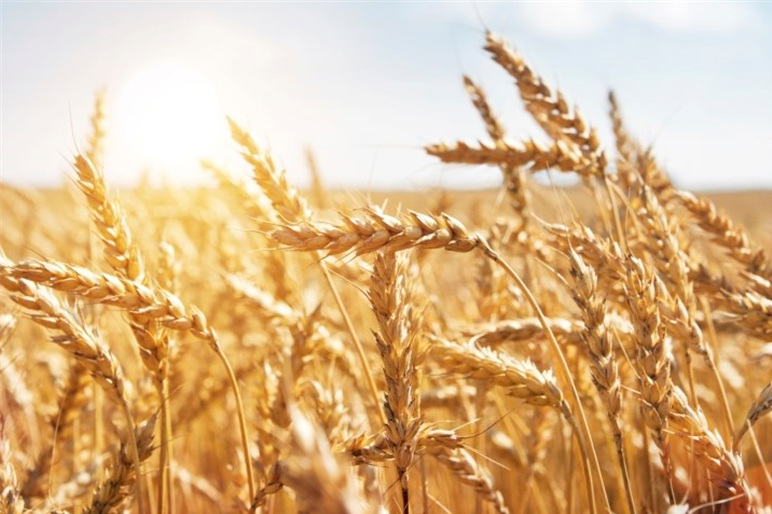 장준걸, 김복자 농부