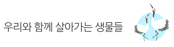 제 1기 청춘과학대학 그 종지부를 찍으며.. 또 다른 기약!