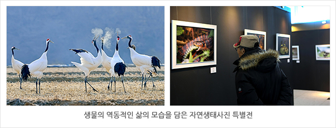 과학전시교육 학부모자문단 발대식